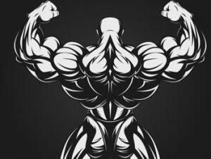 a graphic showing an excessively muscled bodybuilder