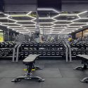 Ultimate Home Workout Routines Using Adjustable Dumbbells