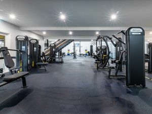 reeplex commercial gym equipment - dynamo fitness