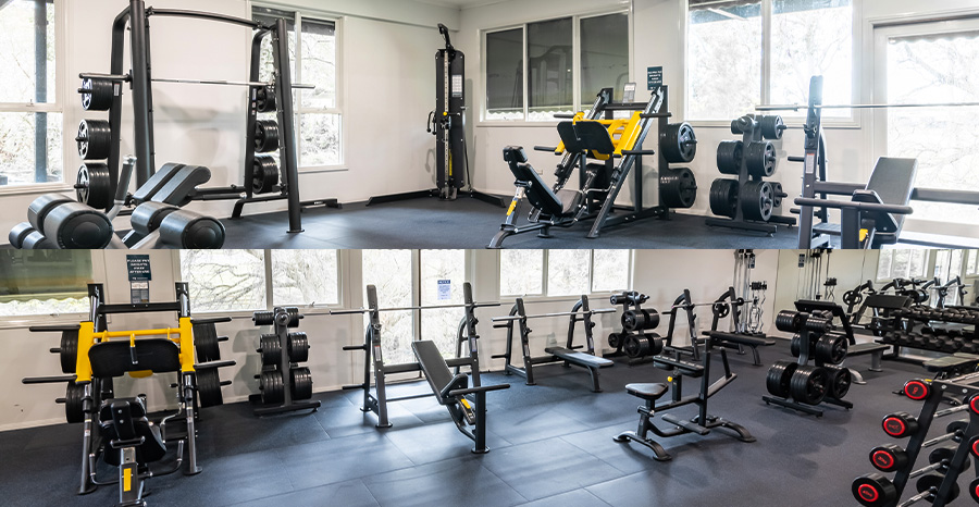 commercial plate loaded gym equipment - dynamo fitness