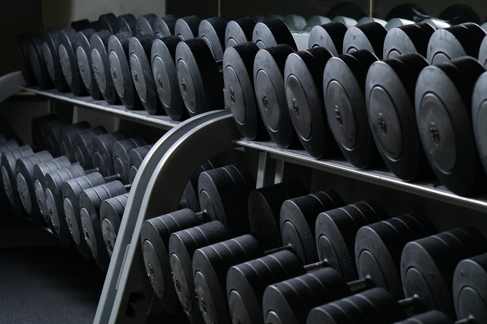 Gym storage solutions weight plates