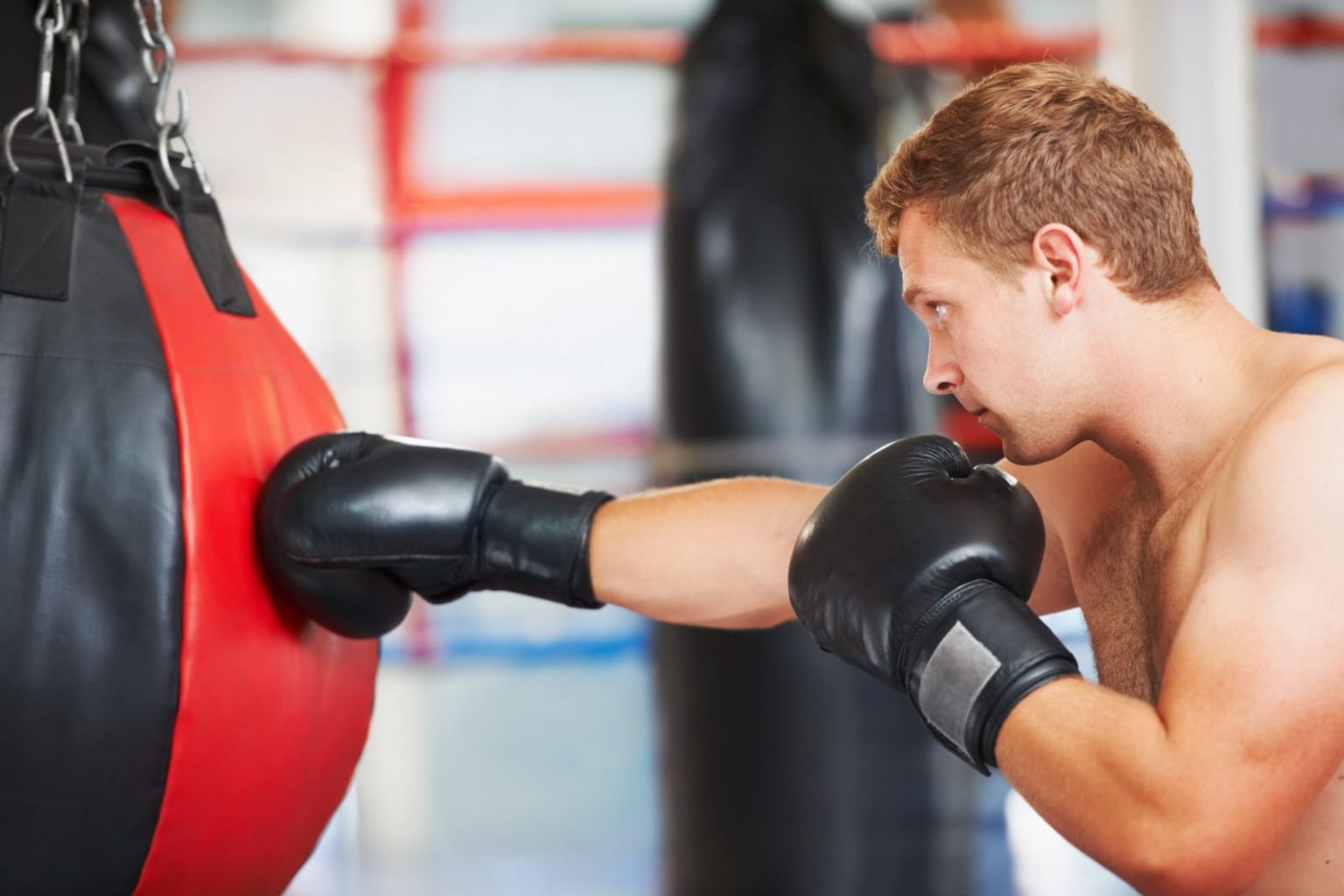 A Comprehensive Guide to Buying a Boxing Bag for Sale